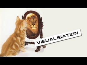 A cat looking at a mirror with the words visualisation.